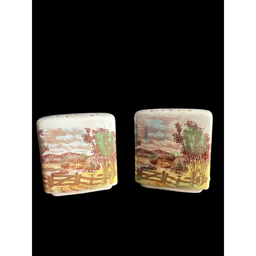 Set of Vintage Hand Painted Country Scene Salt &‎ Pepper Shakers, See Photos